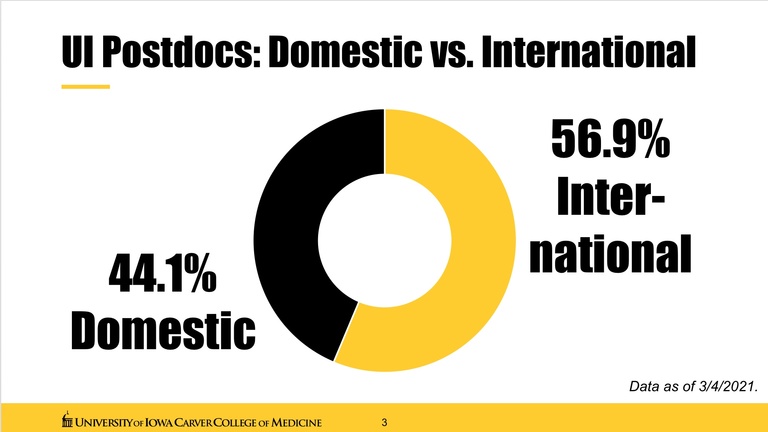 percentage breakdown of domestic vs. international appointments