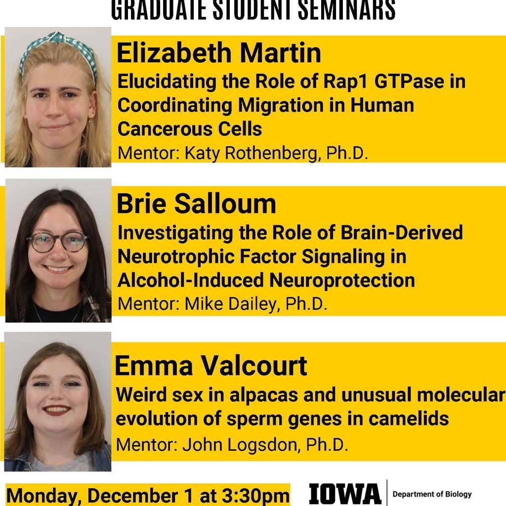Biology Graduate Student Seminar (Elizabeth Martin/Rothenberg Lab): "Elucidating the Role of Rap1 GTPase in Coordinating Migration in Human Cancerous Cells" promotional image