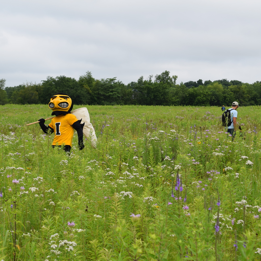 6th Annual BioBlitz at the Ashton Prairie Living Laboratory promotional image