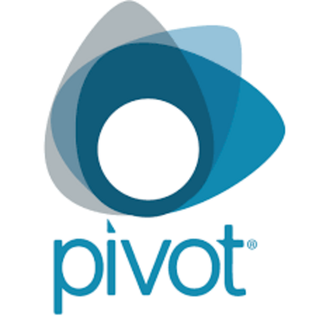 Maximizing Pivot to Find Funding and Collaborators (May 2025) promotional image
