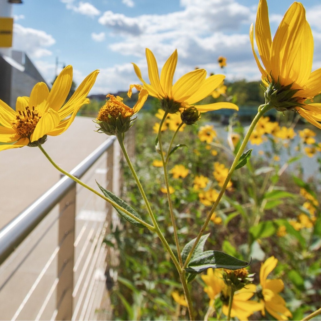 OVPR Large Grant Development Opportunity Networking Session: Writing & Communication promotional image