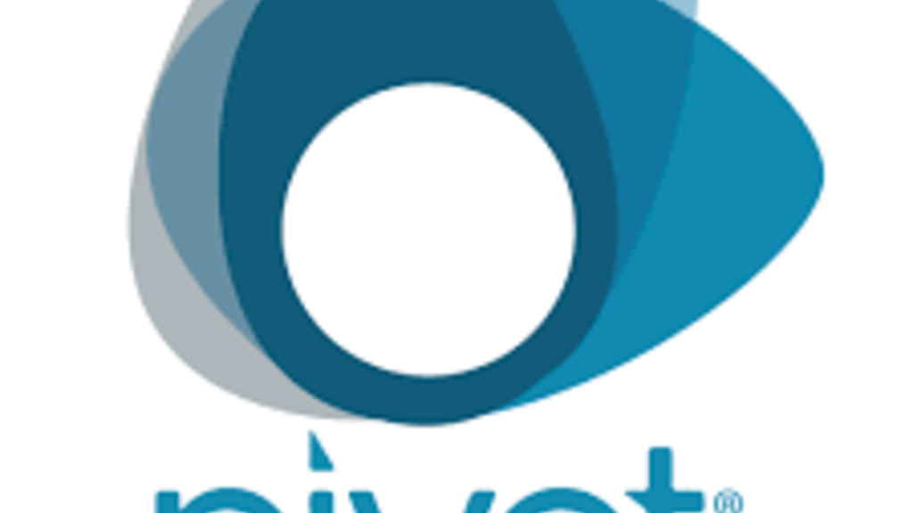 Maximizing Pivot to Find Funding and Collaborators (December 2025) promotional image