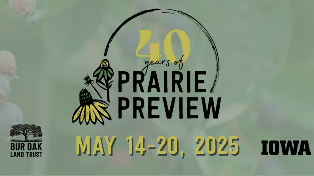 Prairie Preview turns 40 promotional image