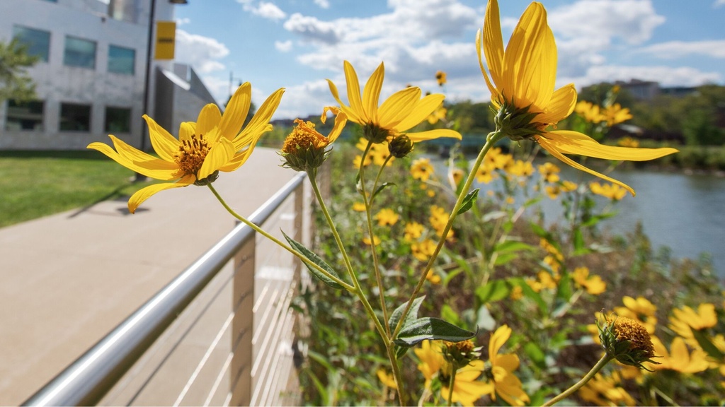 OVPR Large Grant Development Opportunity Networking Session: Writing & Communication promotional image