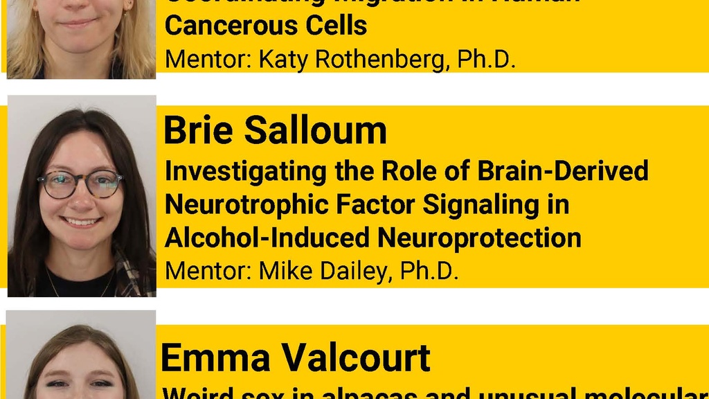 Biology Graduate Student Seminar (Brie Salloum/Dailey Lab): "Investigating the Role of Brain-Derived Neurotrophic Factor Signaling in Alcohol-Induced Neuroprotection" promotional image
